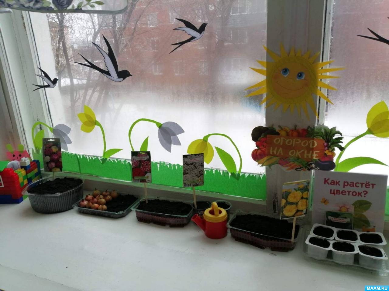 огород на окошке в детском саду. огород на подоконнике в садике. огород на окне младшая группа. огород на окне в детском саду. проект огород на подоконнике в детском саду.