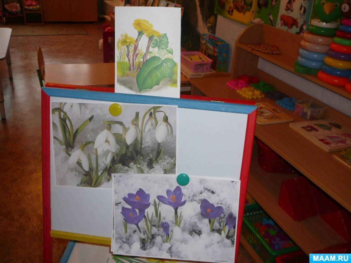 Рисование первоцветы в младшей группе. Рисование цветы старшая группа. Рисование весенних цветов в средней группе. Аппликация в старшей группе. Аппликация весенние первоцветы.