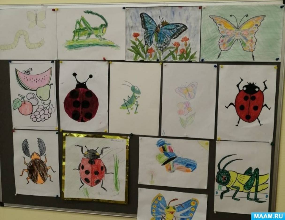 Неделя насекомые младшая группа. Музей насекомых в детском саду. Мини музей насекомые в детском саду. Насекомые для украшения группы в детском саду. День насекомых в ДОУ.