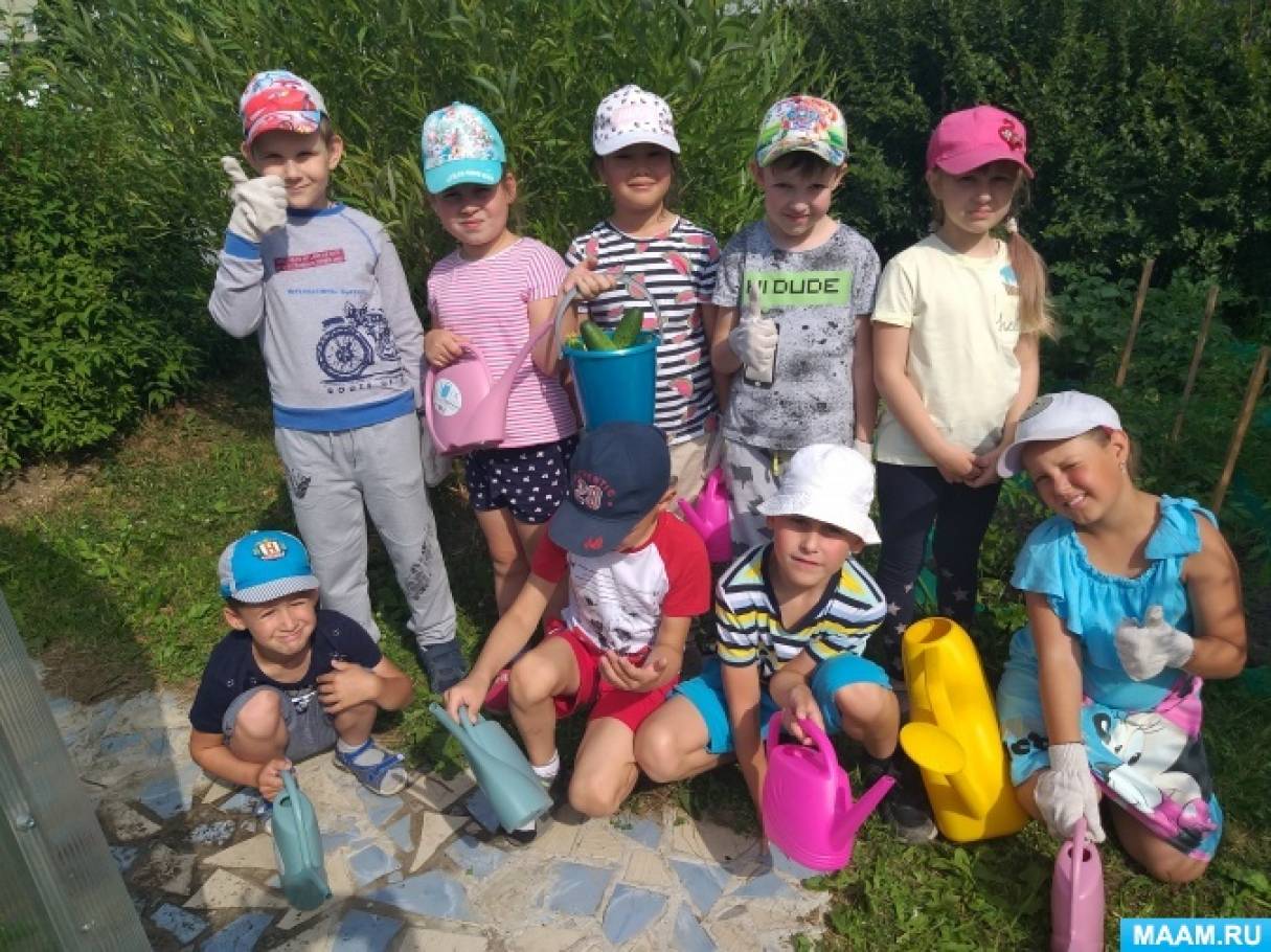 Смотреть фотографию №3 Фото №3 Конечно следить за теплицей дело хлопотное но интересное Теплица прекрасная возможность для проведения опытов и наблюдений