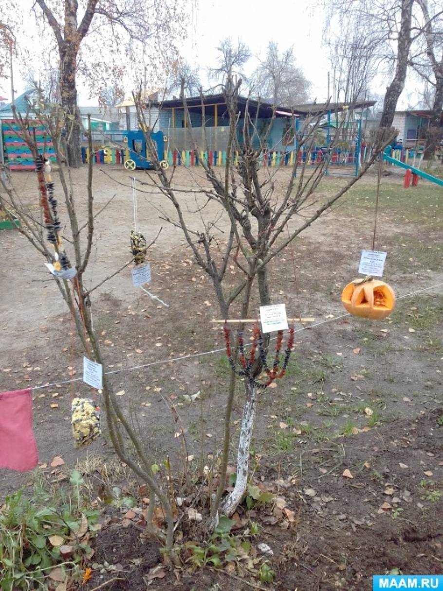 Смотреть фотографию №5 Фото №5 А еще в этот день наши предки предсказывали погоду по особым приметам если синица свистит быть ясному дню если пищит быть ночному морозу собирается много синиц на кормушках к метели и снегопаду