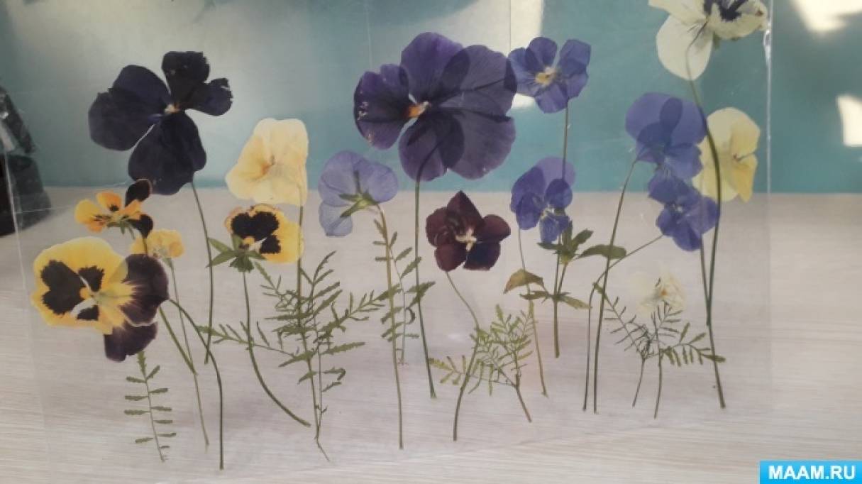 Картина из цветов-сухоцветов в рамке