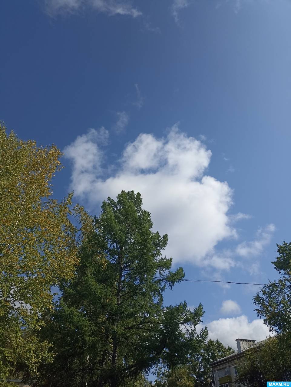 ��������� ����������� �� �������� ������ ������ ������