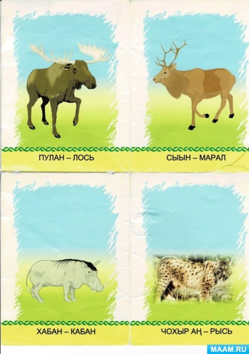 аппликация на тему зоопарк. аппликация животные зоопарка. животные весной конспект игра. животные леса конспект нод.