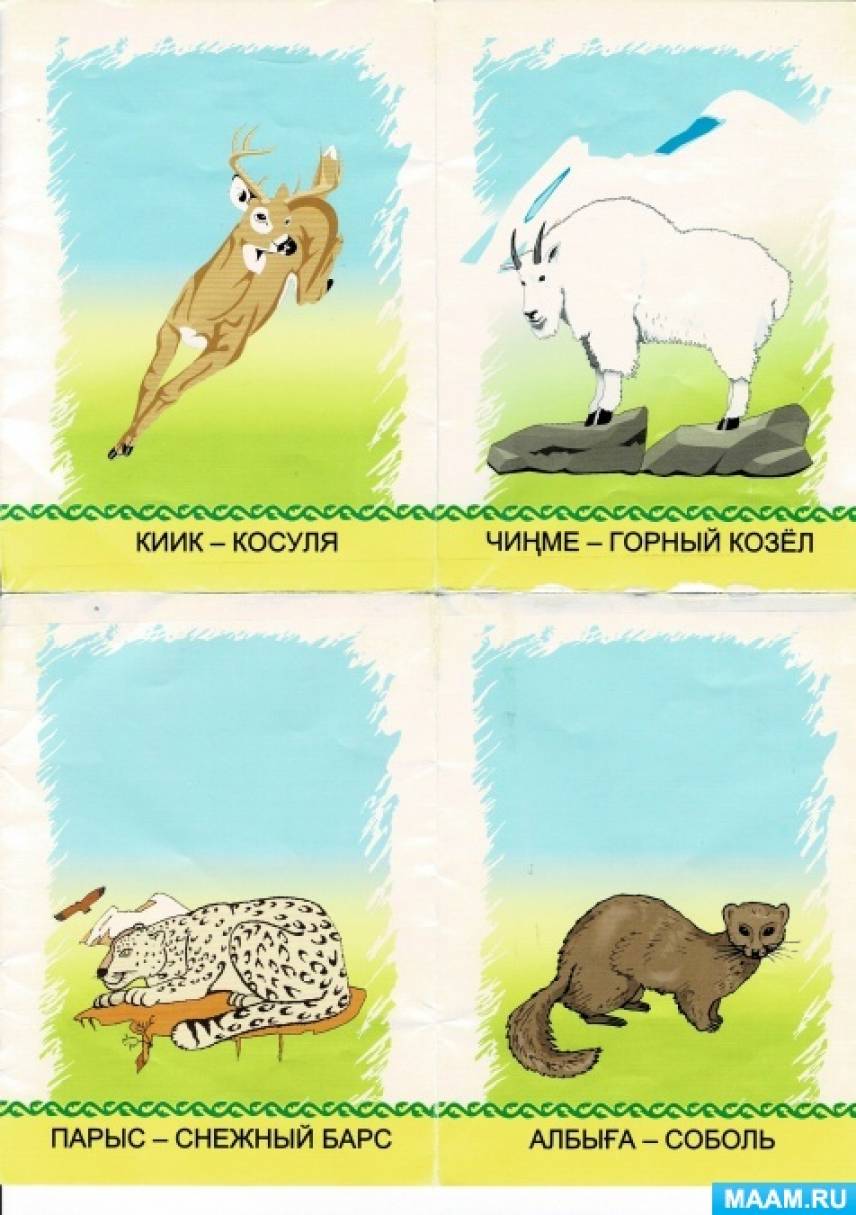 Рисование в средней группе на тему зоопарк. Мир животных конспекты занятий. Животные конспект занятия в подготовительной группе. Занятие дикие- домашние животные старшая группа. Мир животных конспекты занятий.