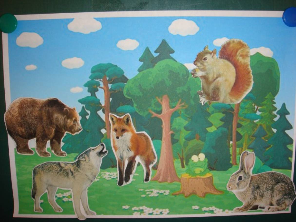 Тема недели животные в средней группе. Лесные животные для малышей. Лесные животные для детского сада. Картина с изображением диких животных в лесу. Лесные животные для дошкольников.
