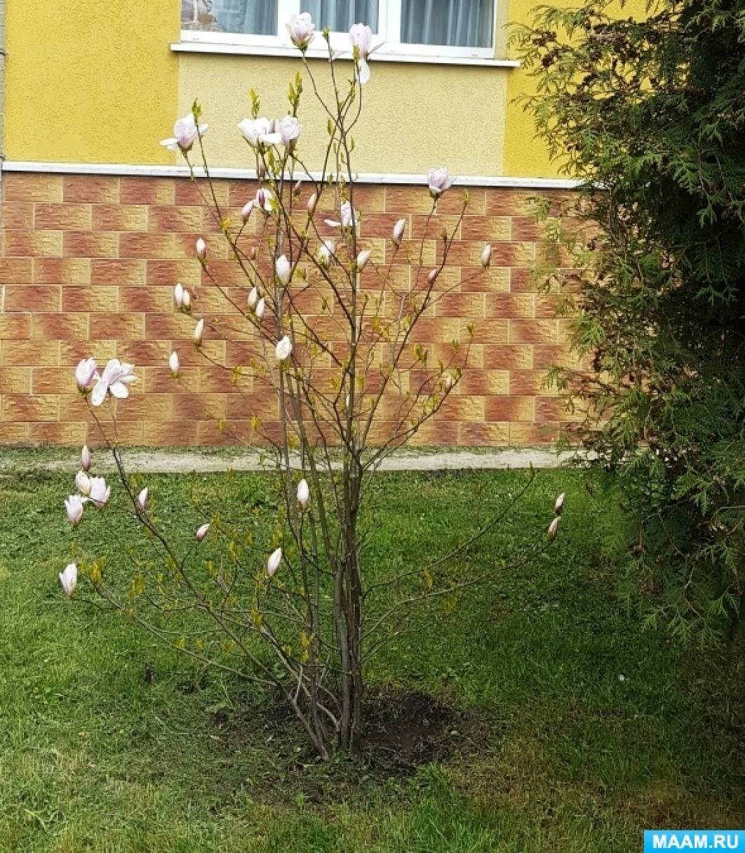 ��������� ������ ��� ������