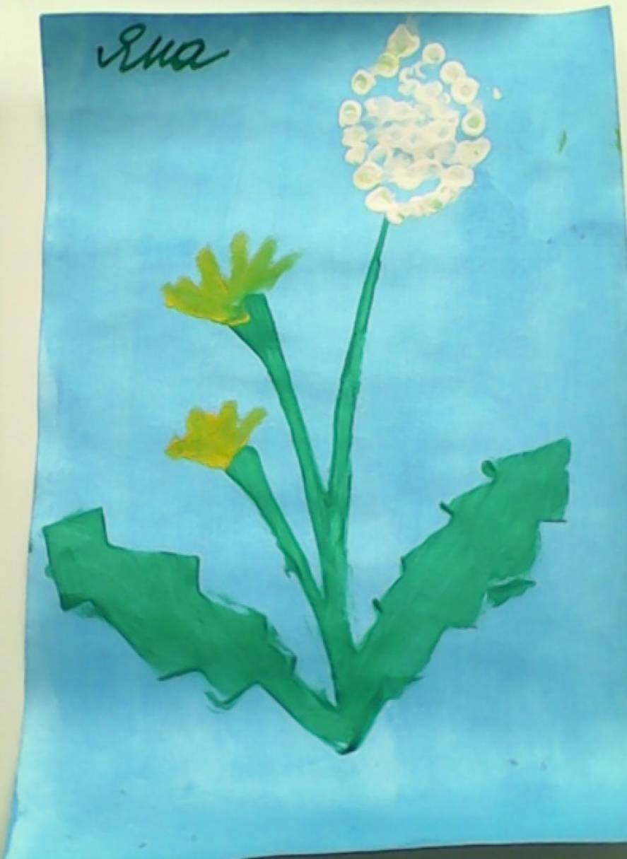 Одуванчики рисунок средняя группа