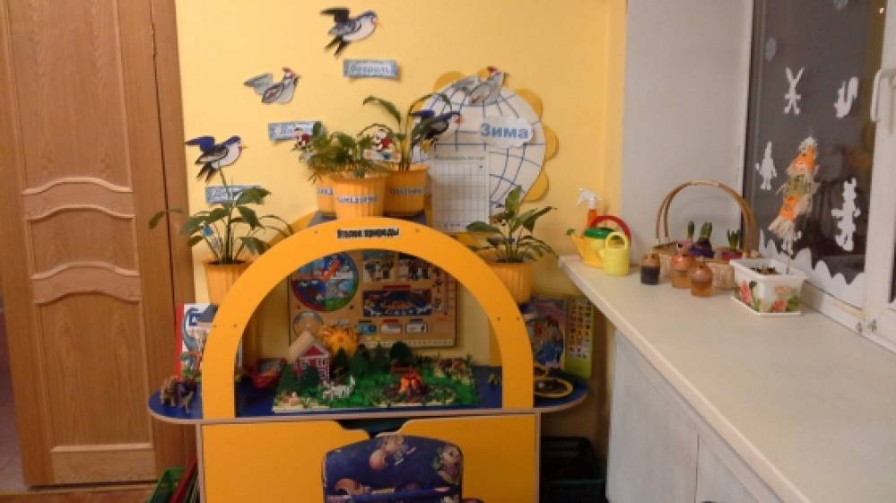 Наш уголок природы. Фото Наш уголок природы.