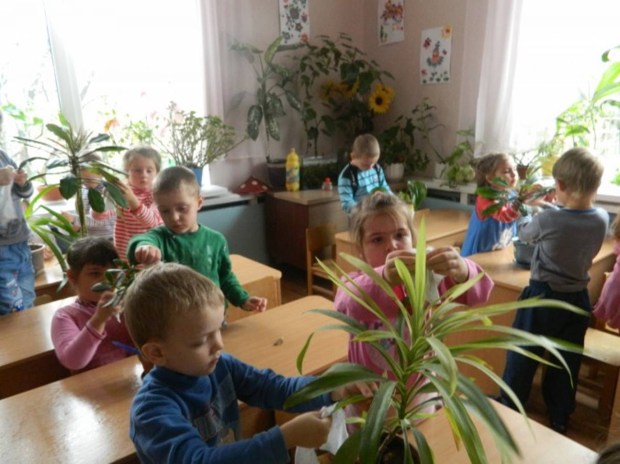 Благодарность сайту МAAM Фото Благодарность сайту МAAM