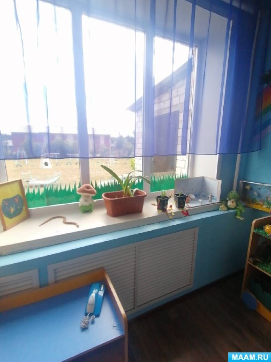 Смотреть фотографию №1 Фото №1 Уголок природы в младшей разновозрастной группе
