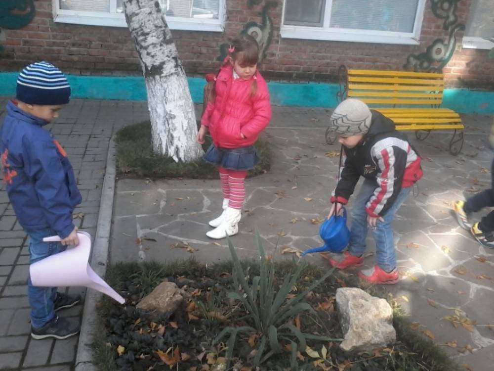 Смотреть фотографию №2 Фото №2 Собирать каштаны листья семена растений наблюдать за насекомыми