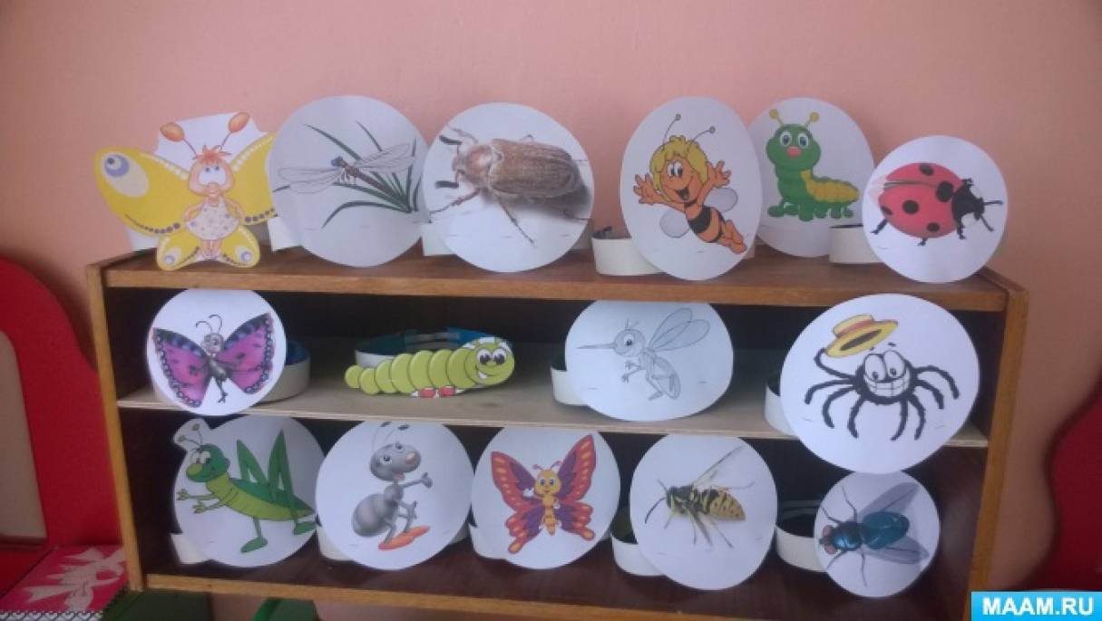 Неделя насекомые младшая группа. Проект насекомые в средней группе. Проект про насекомых в детском саду. Проект мир насекомых в средней группе. Проект насекомые в старшей группе.
