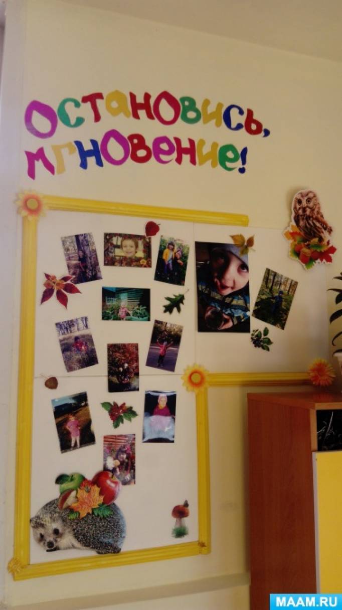 Фото «Цветик-Семицветик»