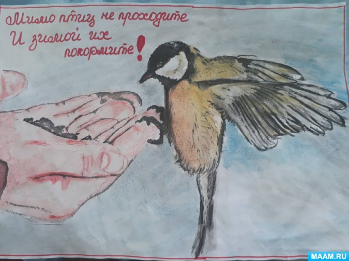 Рисунок берегите птиц. Рисунок на тему птицы. Плакат в защиту птиц. Покормите птиц зимой. Плакат берегите птиц.