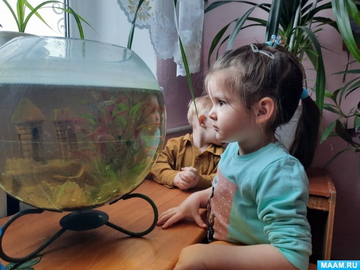 Наблюдать за рыбками. Дети наблюдают за аквариумом. Наблюдение за аквариумными рыбками. Голова в аквариуме для наблюдения. Клипарт робот наблюдает за аквариумом.