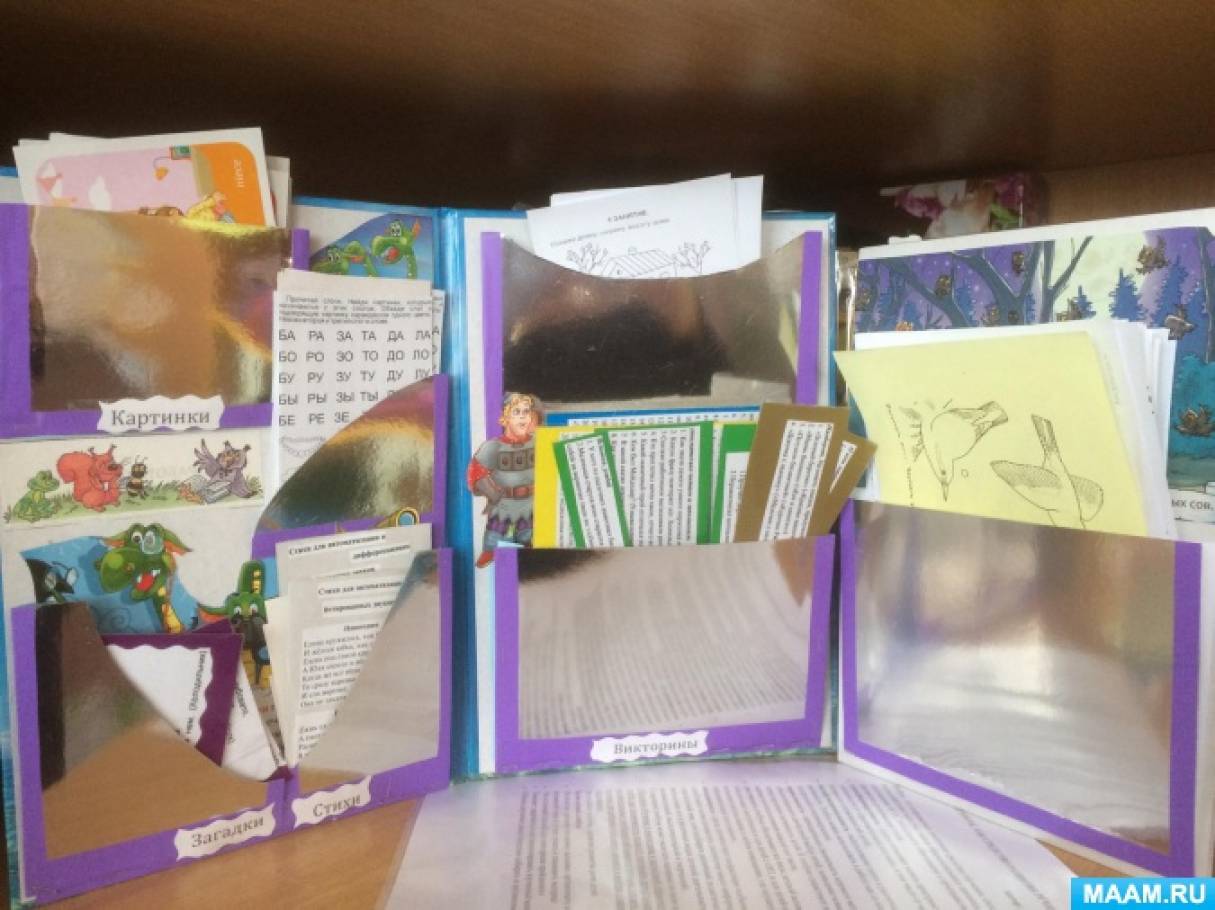 Лэпбук «Речевое развитие». Воспитателям детских садов, школьным ...