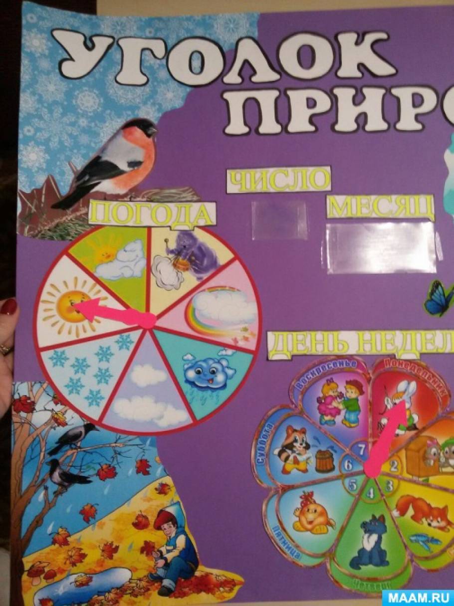 Календарь природы своими руками (5 фото). Воспитателям детских садов ...