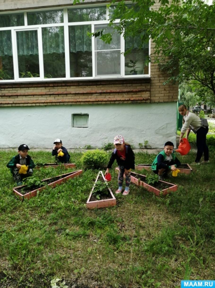 Наблюдение за ростом клубники. detsad 486133 1564848942. Наблюдение за ростом клубники фото. Наблюдение за ростом клубники-detsad 486133 1564848942. картинка Наблюдение за ростом клубники. картинка detsad 486133 1564848942. В работе проводится исследование об условиях выращивания клубники в домашних условиях.