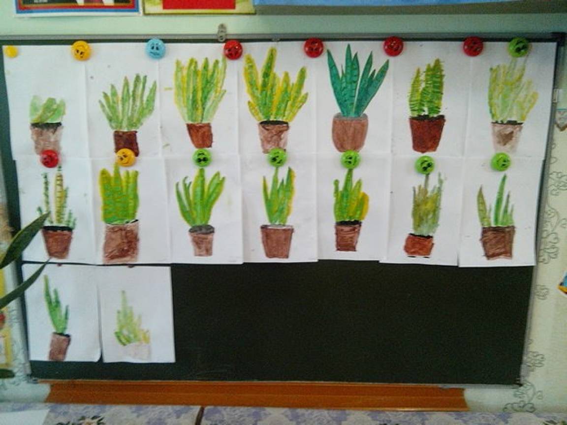 Мир цветов младшая группа. Рисование комнатные растения младшая группа. Рисование комнатные растения старшая группа. Рисование комнатные растения средняя группа. Рисование комнатные цветы средняя группа.