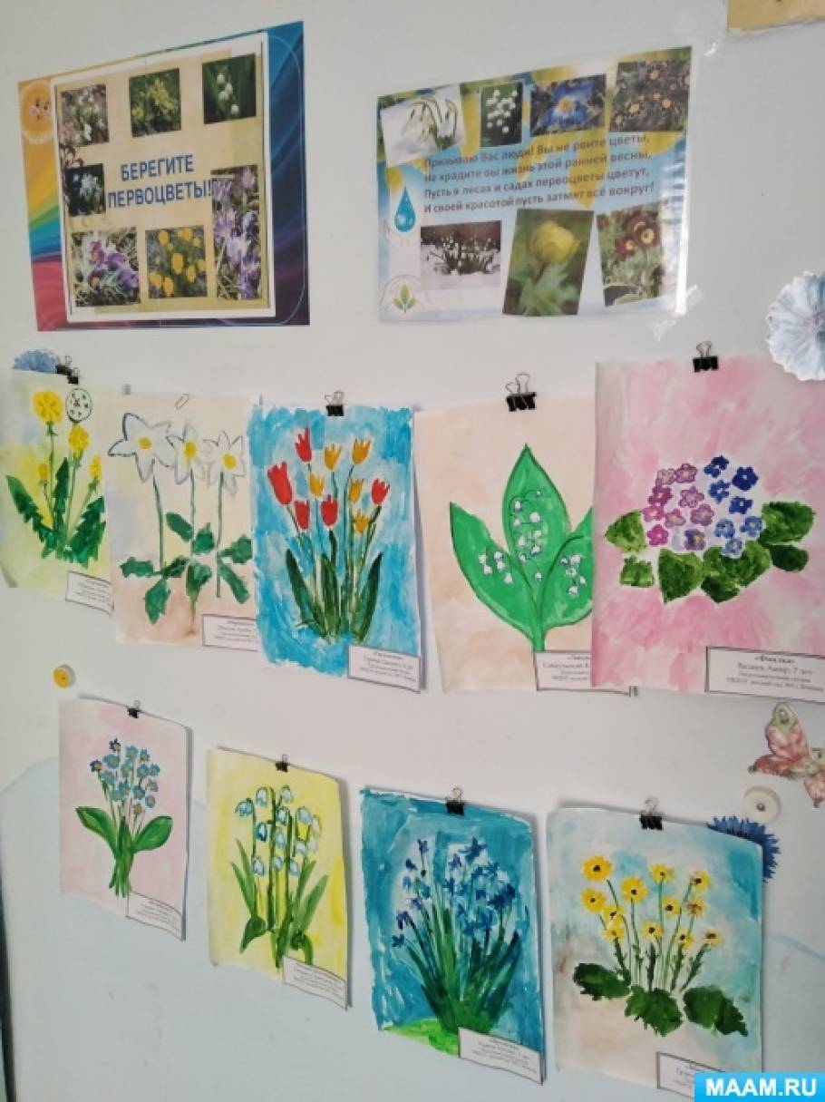 Рисование первоцветы старшая группа. Акция первоцветы в детском саду. Весенние цветы подготовительная группа. Экологическая акция первоцвет. Конкурс первоцвет.