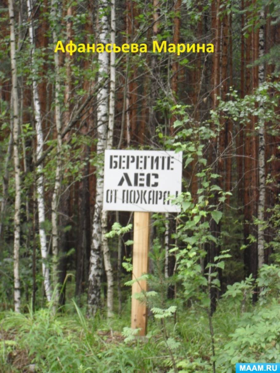 Фото №1 Стенгазета Берегите лес от пожара