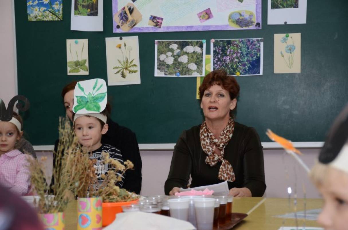 Родительское собрание на тему: «Лекарственные растения Черноморского побережья» Фото Родительское собрание на тему: «Лекарственные растения Черноморского побережья»