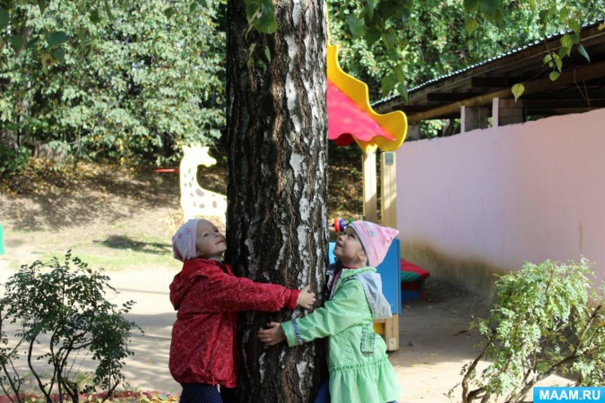 Фотоотчет «Наблюдения в природе» Фото Фотоотчет «Наблюдения в природе»