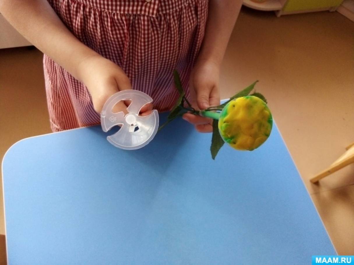 Для чего нужны лепестки для цветка. Смотреть фото Для чего нужны лепестки для цветка. Смотреть картинку Для чего нужны лепестки для цветка. Картинка про Для чего нужны лепестки для цветка. Фото Для чего нужны лепестки для цветка