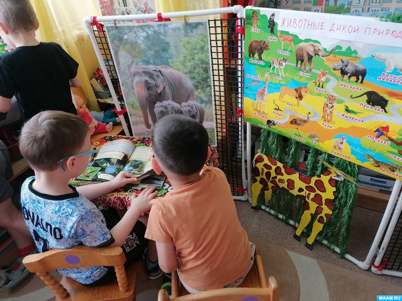 «В гостях у природы» Фото «В гостях у природы»