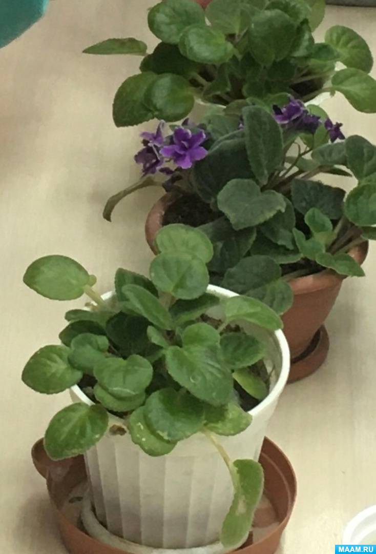 ��������� ������� ��� �����