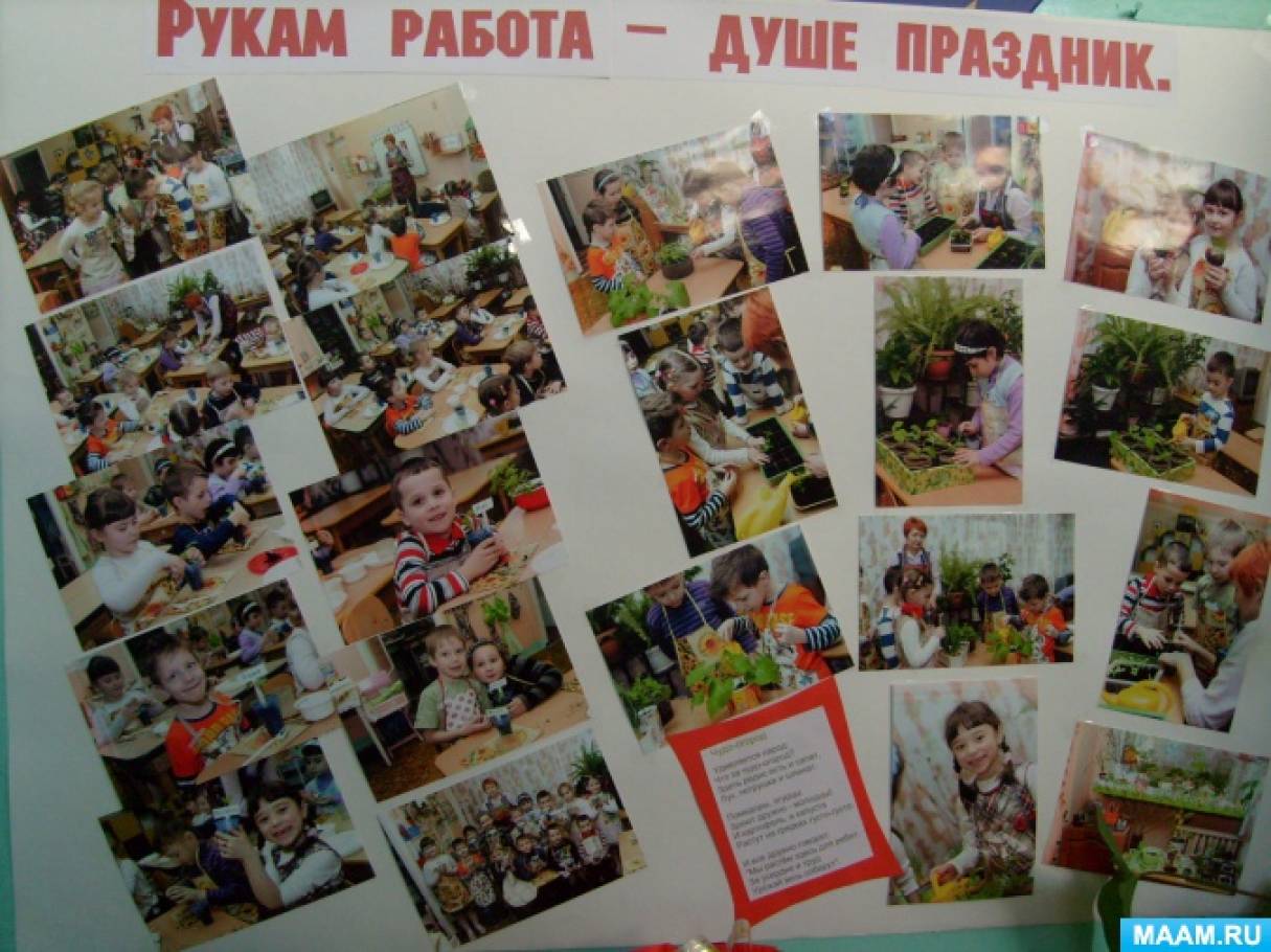 Образовательный проект в подготовительной к школе группе «Веселый огород» Фото Образовательный проект в подготовительной к школе группе «Веселый огород»