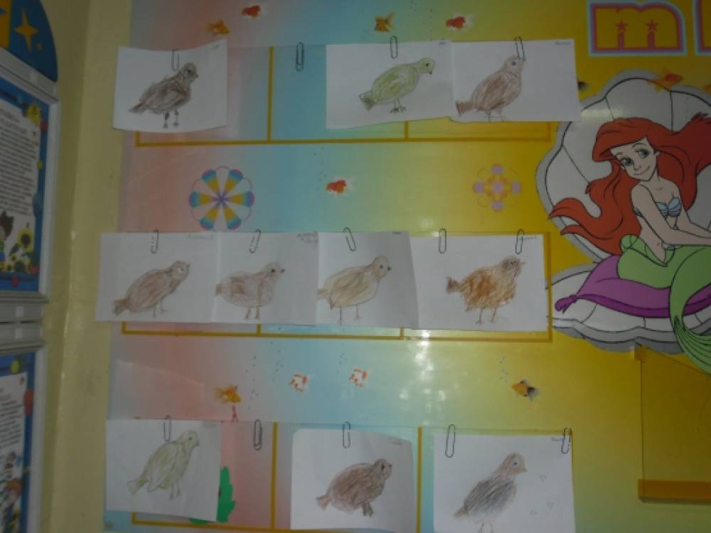 Весенние хлопоты птиц средняя группа познание. Неделя птичьи хлопоты в детском саду рисование. Тема птичьи хлопоты в детском саду. Календарное планирование птицы весной