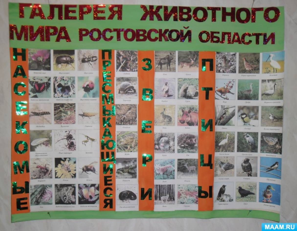Плакат «Животный мир Ростовской области»
