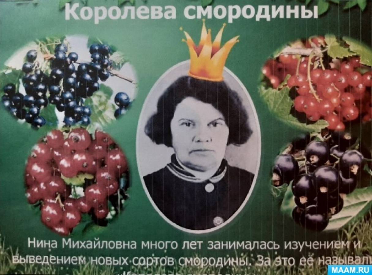 Нина Павлова Книги Купить