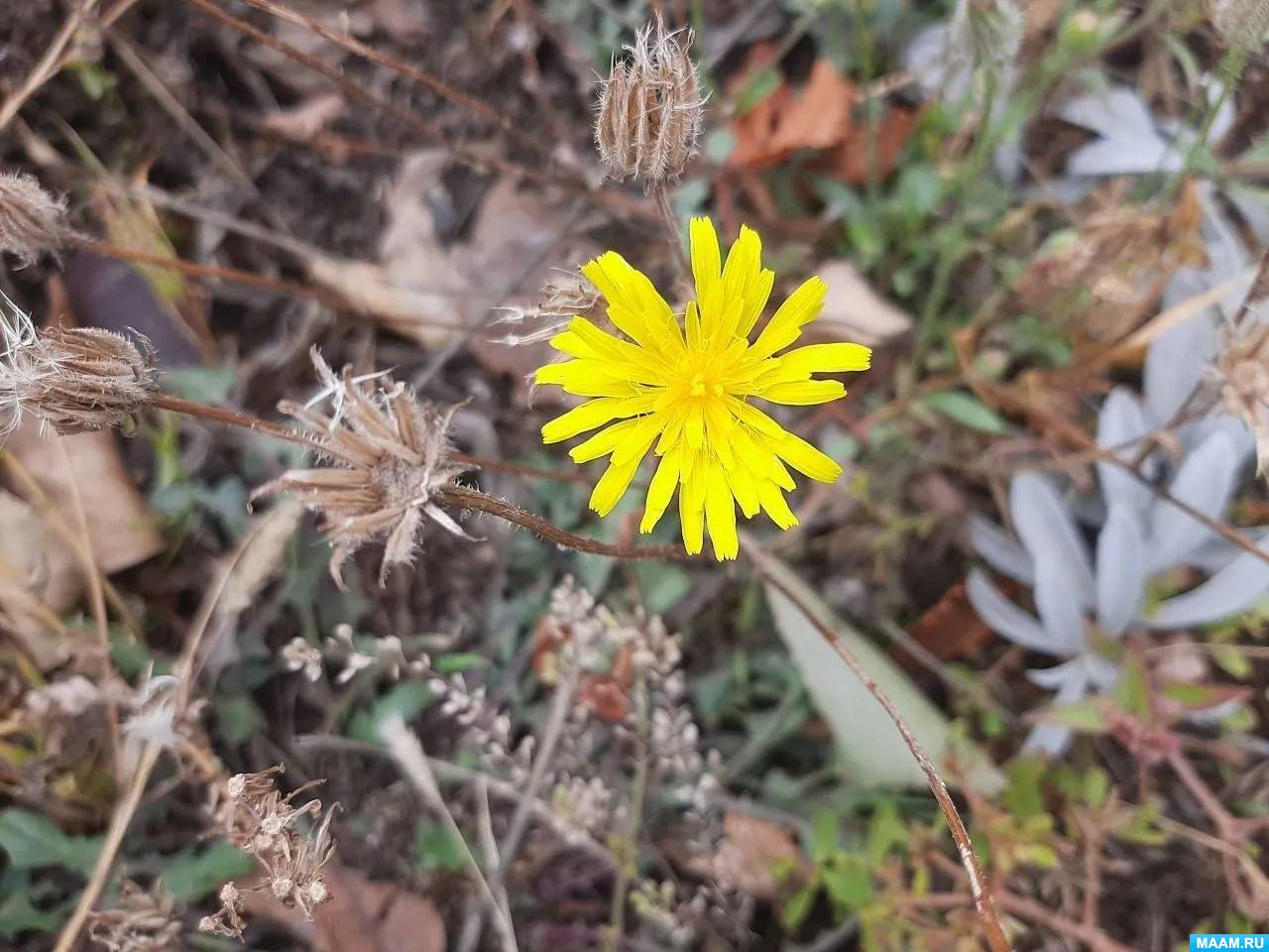 ������������ ��� ��������� �������������� �����������. �������� ����� � �������