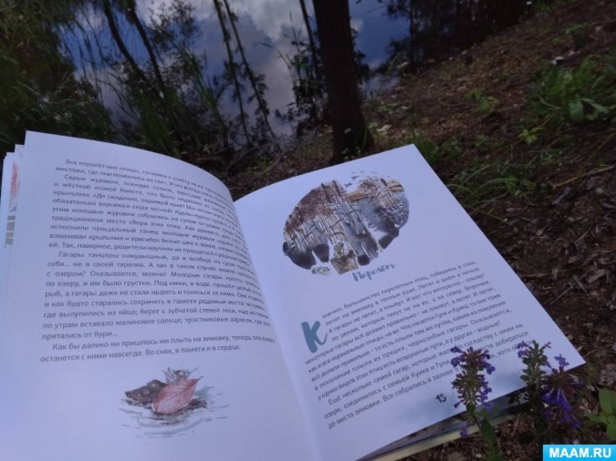 Надежда Васильева Гагара Книга Купить