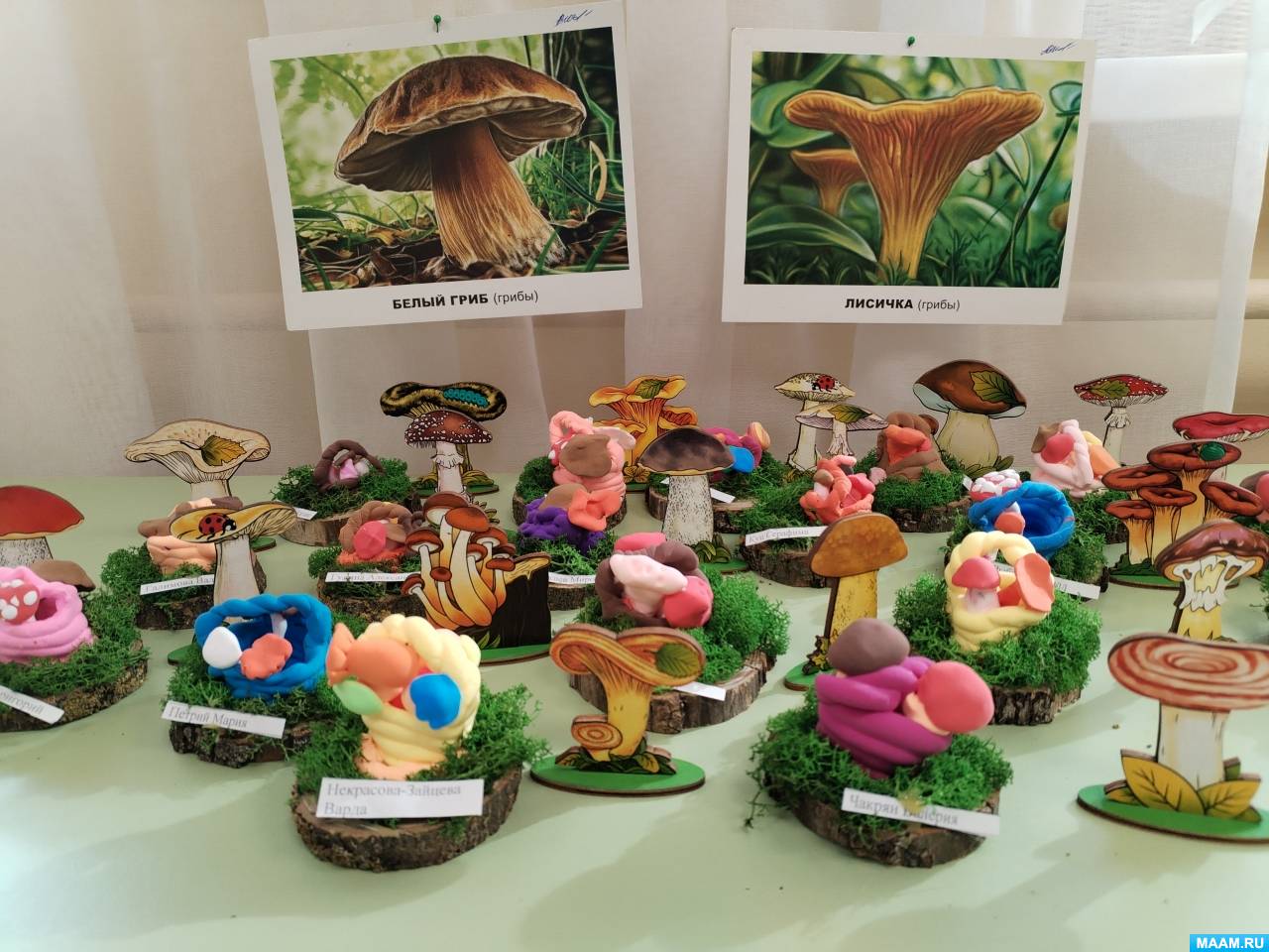 �������� ������� �� ����� �� ���������� ���������� � ���������������� ������ �������� � �������