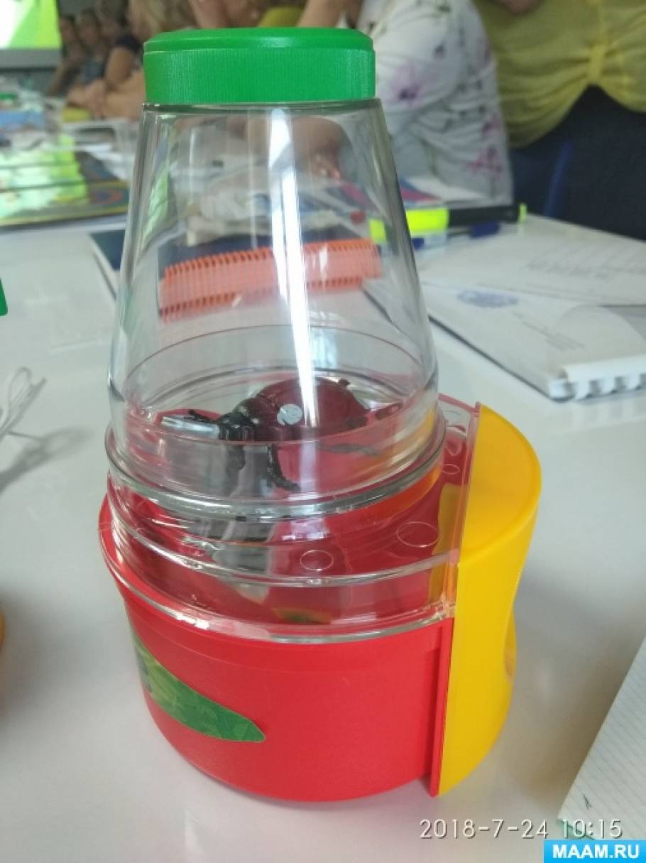 что такое stem образование в доу по фгос. detsad 5426 1539063570. что такое stem образование в доу по фгос фото. что такое stem образование в доу по фгос-detsad 5426 1539063570. картинка что такое stem образование в доу по фгос. картинка detsad 5426 1539063570. СТЕМ ОБРАЗОВАНИЕ В ДОУ.