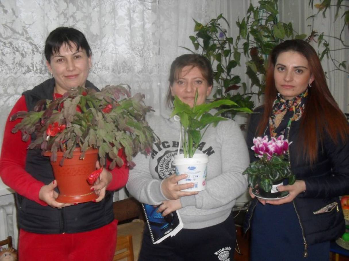 Смотреть фотографию №12 Фото №12 Основной Беседы с детьми Какие бывают цветы