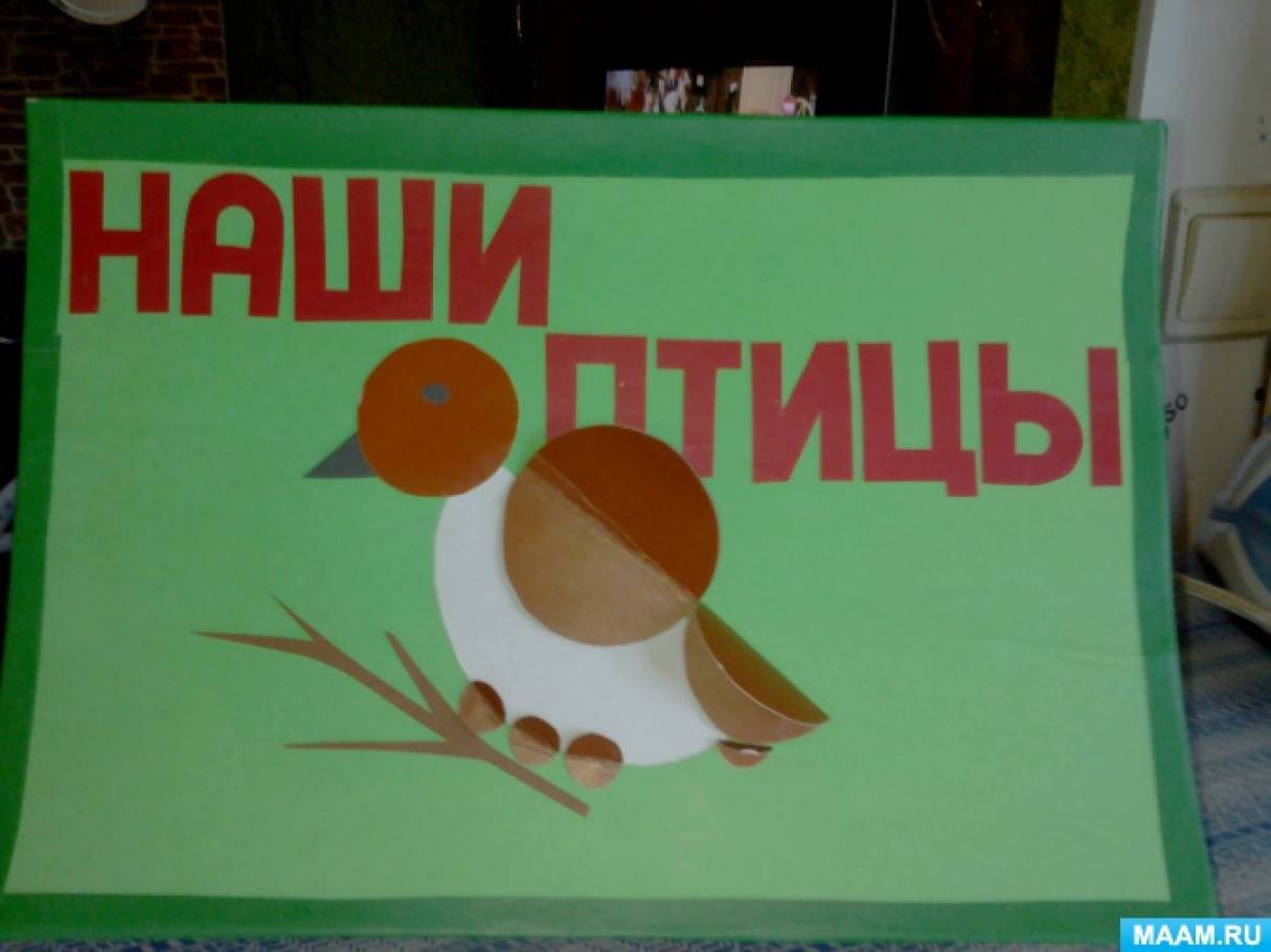 Лэпбук «Птицы»