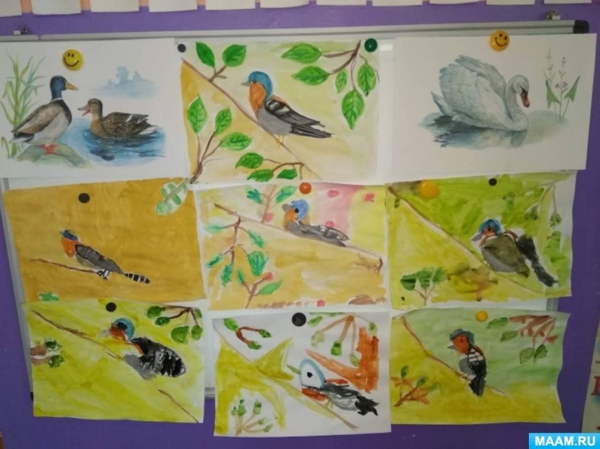 День птиц фотоотчет. Картинки для коллаж зимующие птицы изготовление с детьми.