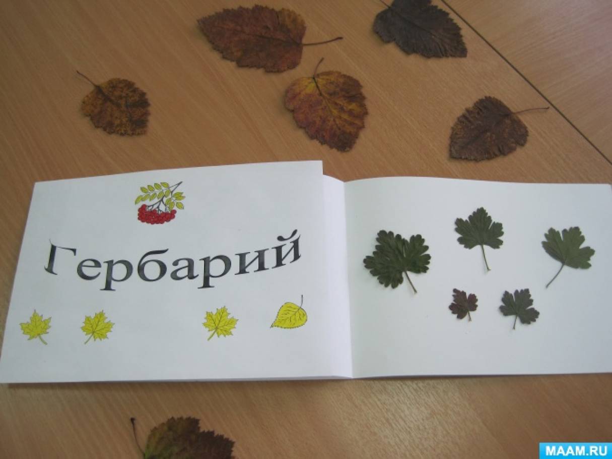 Этикетка на гербарий образец