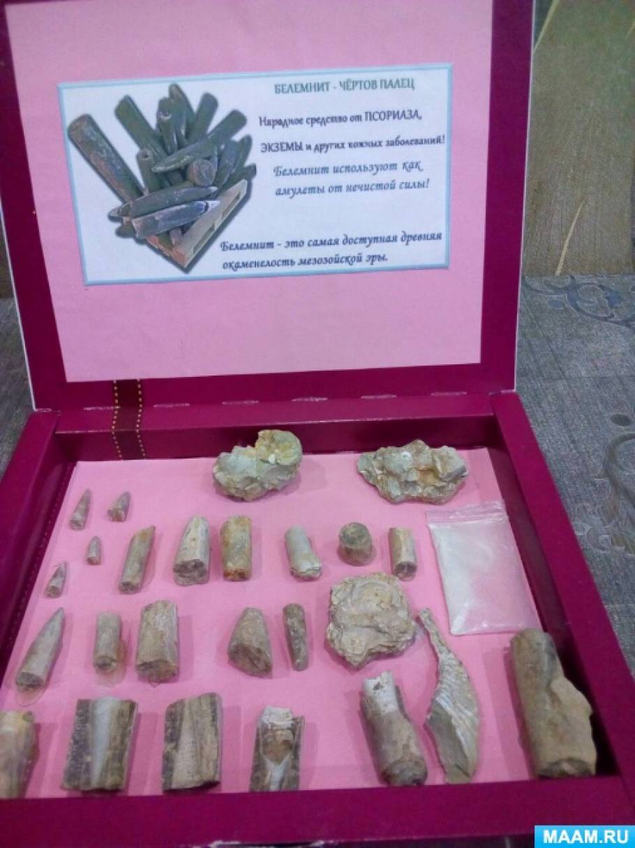 Коллекция «Белемнит-Чертов палец»