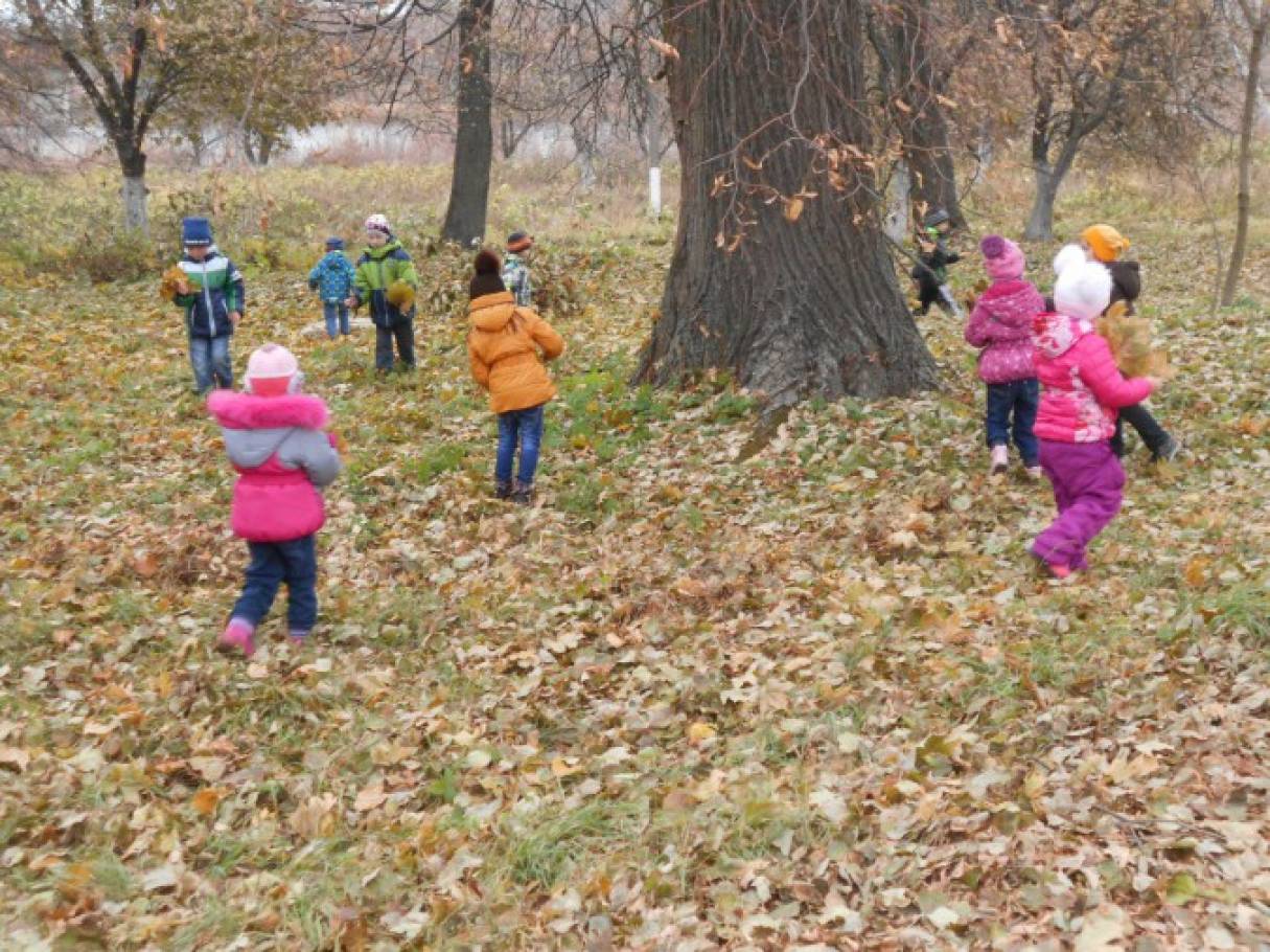Прогулка по весеннему лесу младшая группа. Осенняя прогулка. Прогулка в детском саду. Прогулка в детском саду осень. Наблюдение на прогулке.