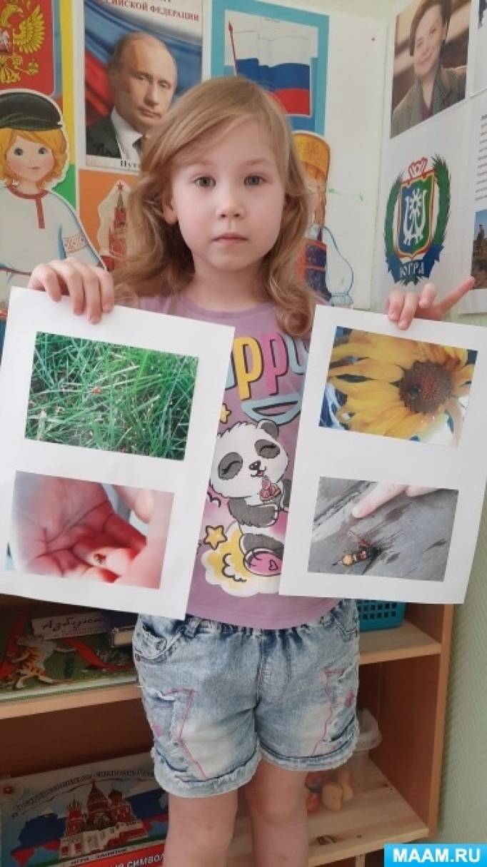 Детско-семейный экологический проект «Летняя фотоколлекция насекомых в Югре»