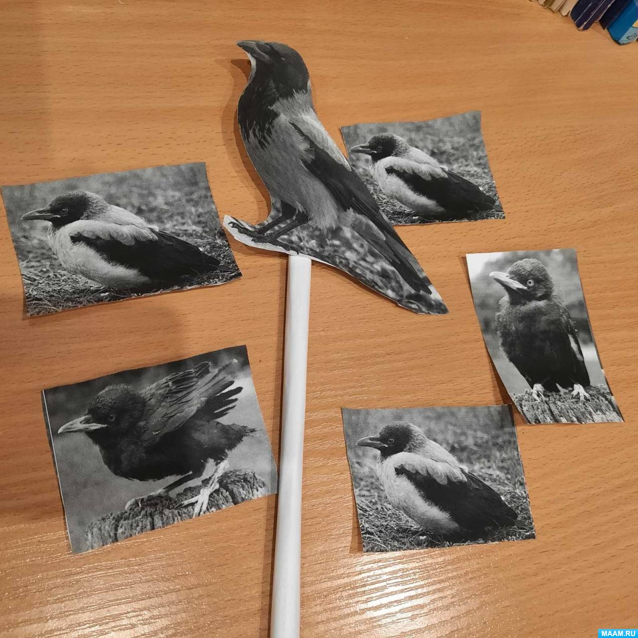           .  , ,     5 