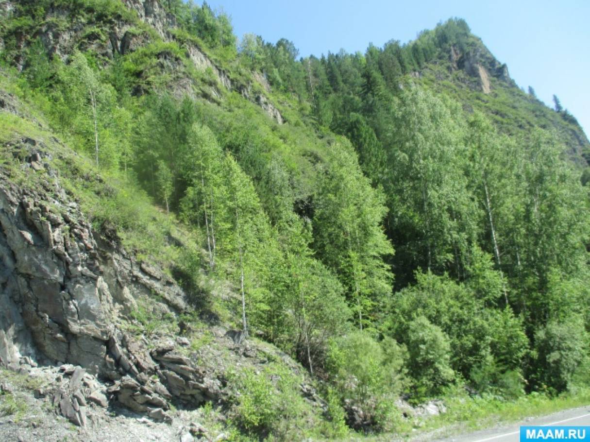 Смотреть фотографию №3 Фото №3 Мы частенько посещаем сей чудное местечко