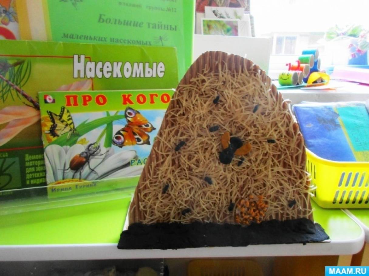 Летний проект «Большие тайны маленьких насекомых» для детей 5–6 лет Фото Летний проект «Большие тайны маленьких насекомых» для детей 5–6 лет