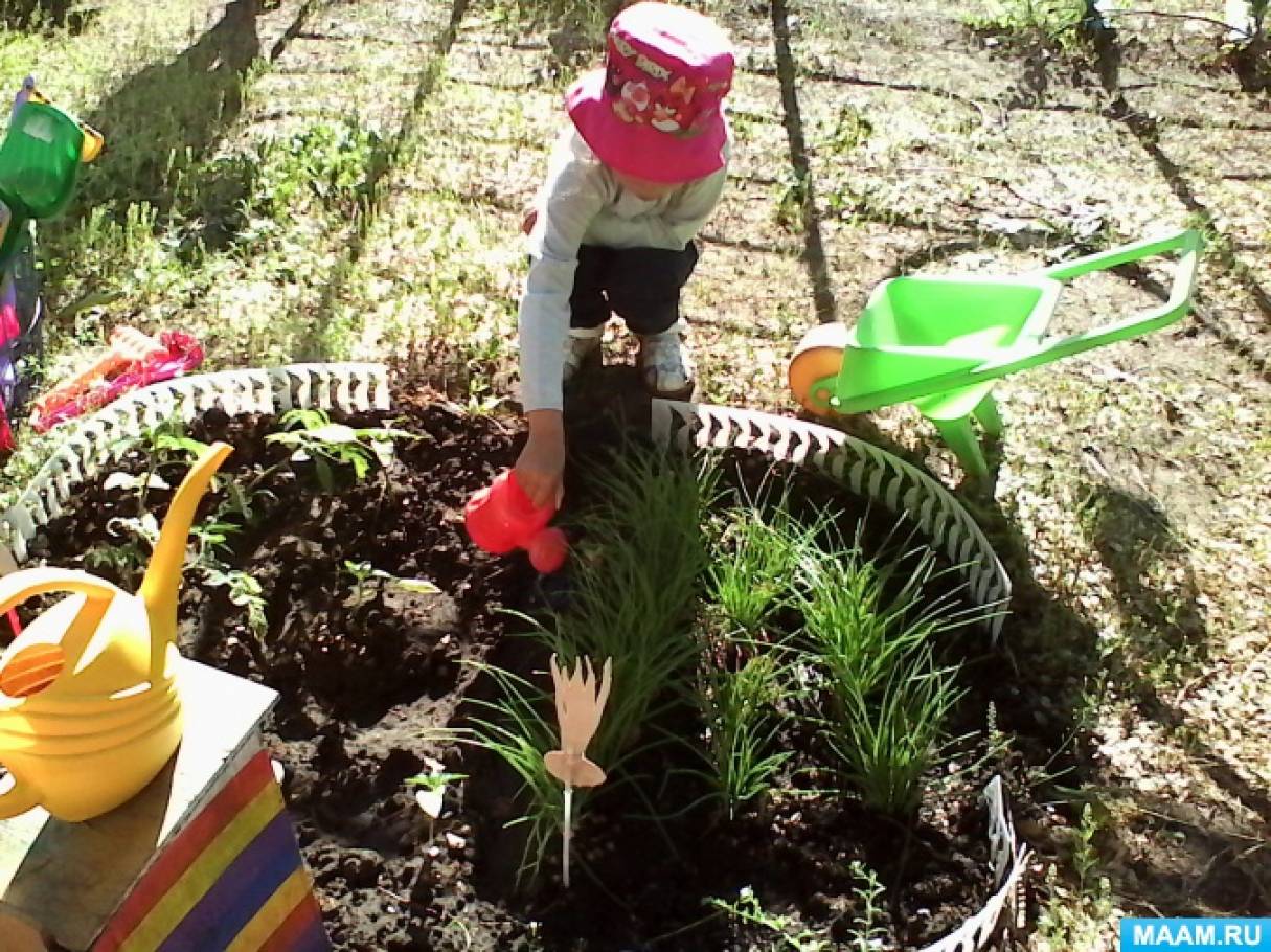 Дети помогают в саду